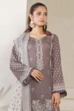 ELMIRA | 3 PC Unstitch Luxury Embroidered