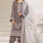 ELMIRA | 3 PC Unstitch Luxury Embroidered