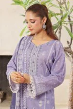 ELMIRA | 3 PC Unstitch Luxury Embroidered