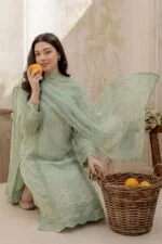 JHOMROO | Luxury Embroidered Chiffon | Stitched 3-PC - Image 2