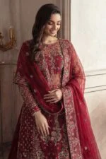 AFSAR BEST LUXURY EMBROIDERED ORGANZA 3PC SUIT