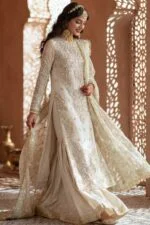 AFSAR BEST LUXURY EMBROIDERED ORGANZA 3PC SUIT