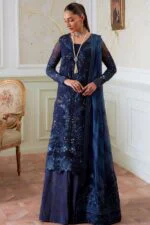 afsar-luxury-embroidered-organza-3pc-02