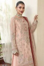 afsar-luxury-embroidered-organza-3pc-03
