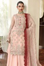afsar-luxury-embroidered-organza-3pc-03
